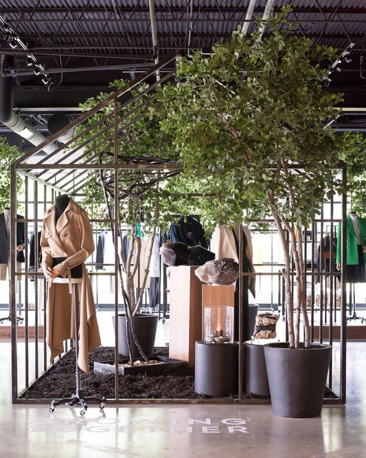 Sage &amp; Salt Lands at The Conservatory