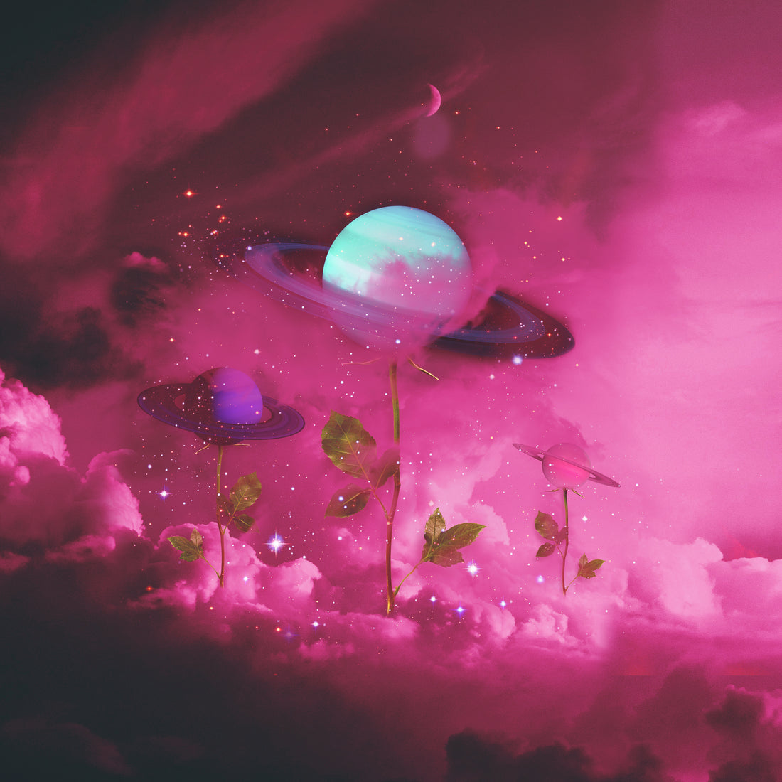 The Anatomy of A Love Spell